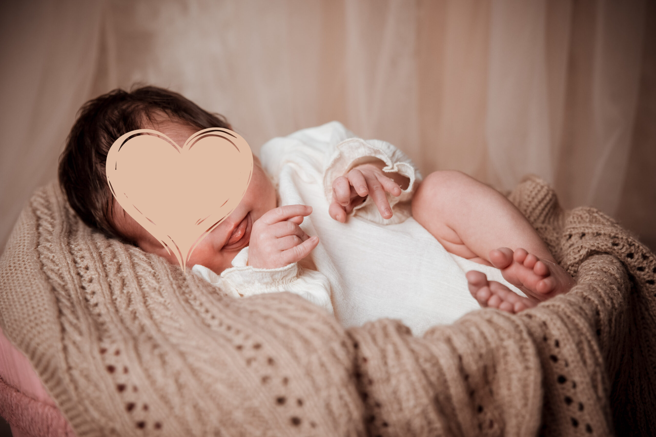 IMGP0200-Bearbeitet-2